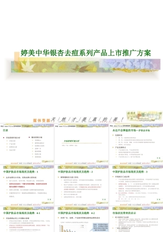 婷美中华银杏去痘系列产品上市推广方案（PPT45页）