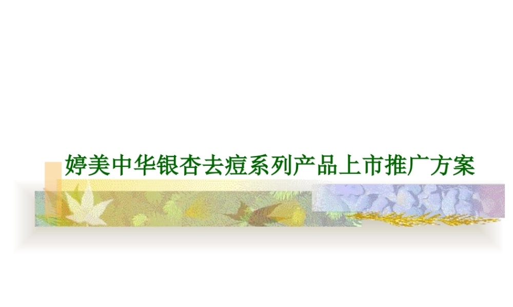 婷美中华银杏去痘系列产品上市推广方案