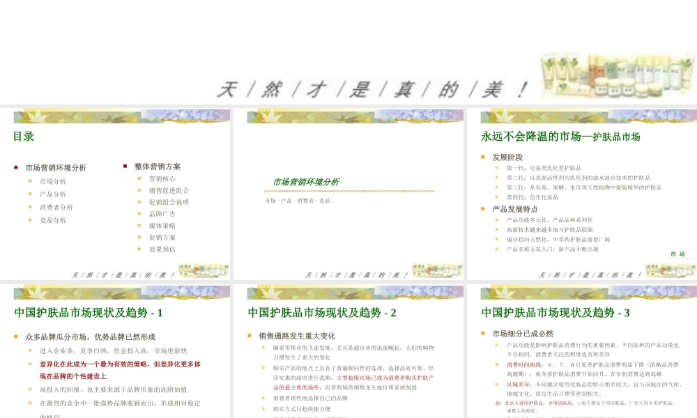 婷美中华银杏去痘系列产品上市推广方案