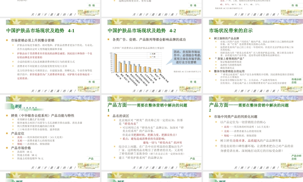 婷美中华银杏去痘系列产品上市推广方案