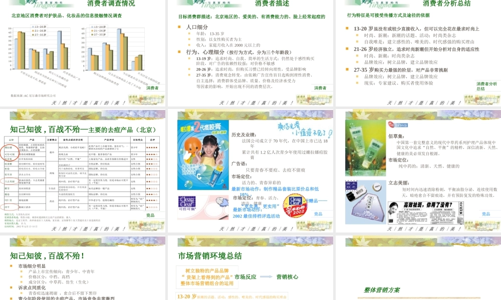 婷美中华银杏去痘系列产品上市推广方案