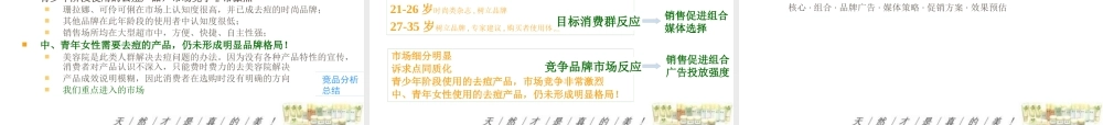 婷美中华银杏去痘系列产品上市推广方案