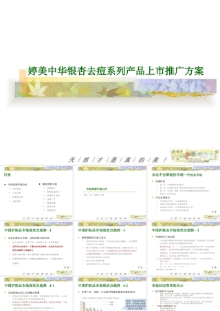 婷美中华银杏去痘系列产品上市推广方案