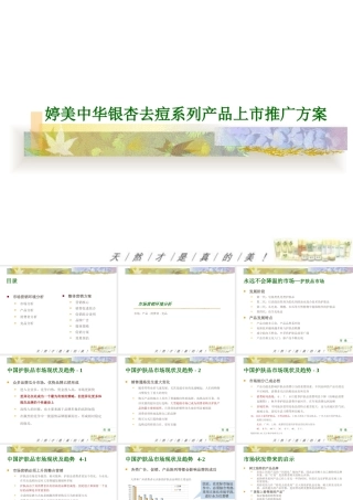 婷美中华银杏去痘系列产品上市推广方案--yz2009--1921@msn.cn