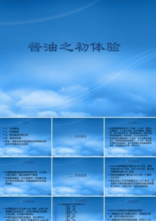 某公司酱油之初体验