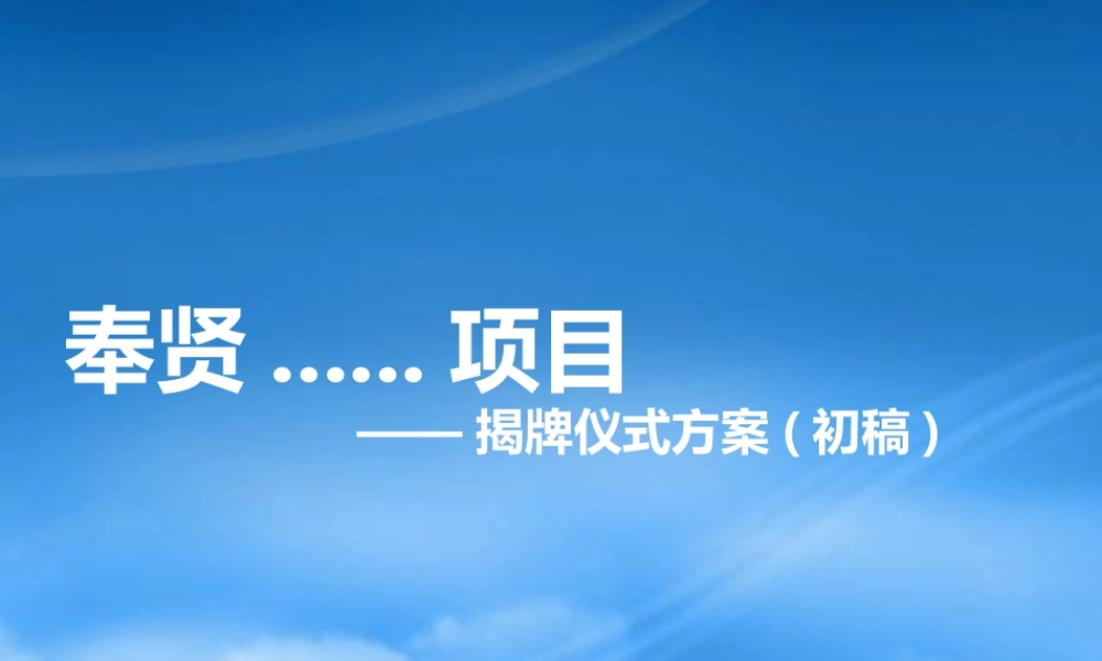 某公司揭牌仪式方案