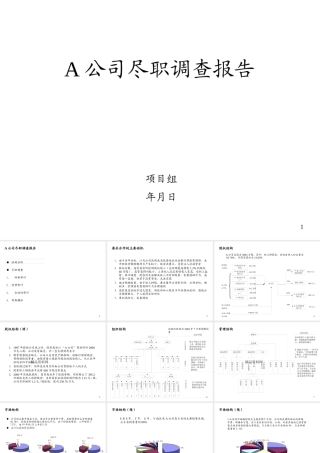 某公司尽职调查报告