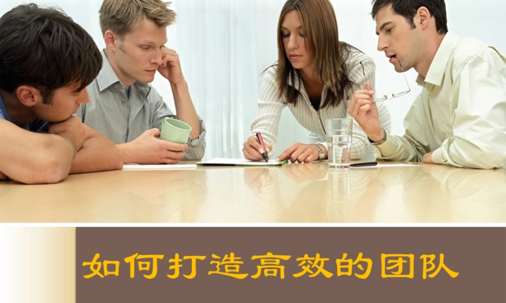 如何打造高效的团队(PPT 页)