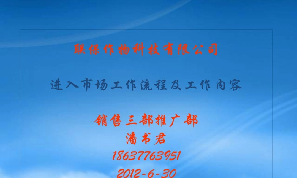 某公司进入市场工作流程及工作内容