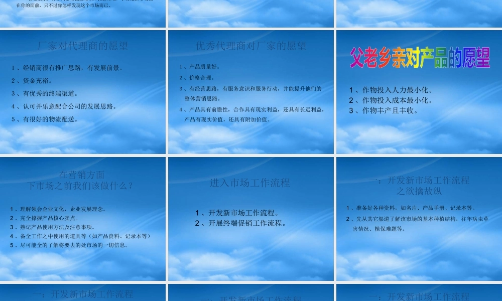 某公司进入市场工作流程及工作内容