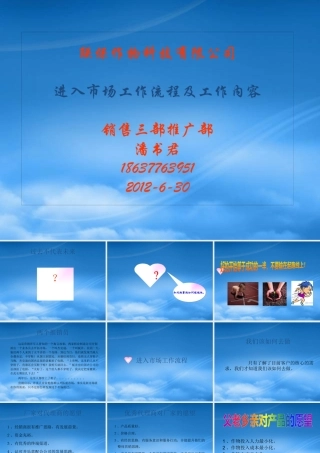 某公司进入市场工作流程及工作内容