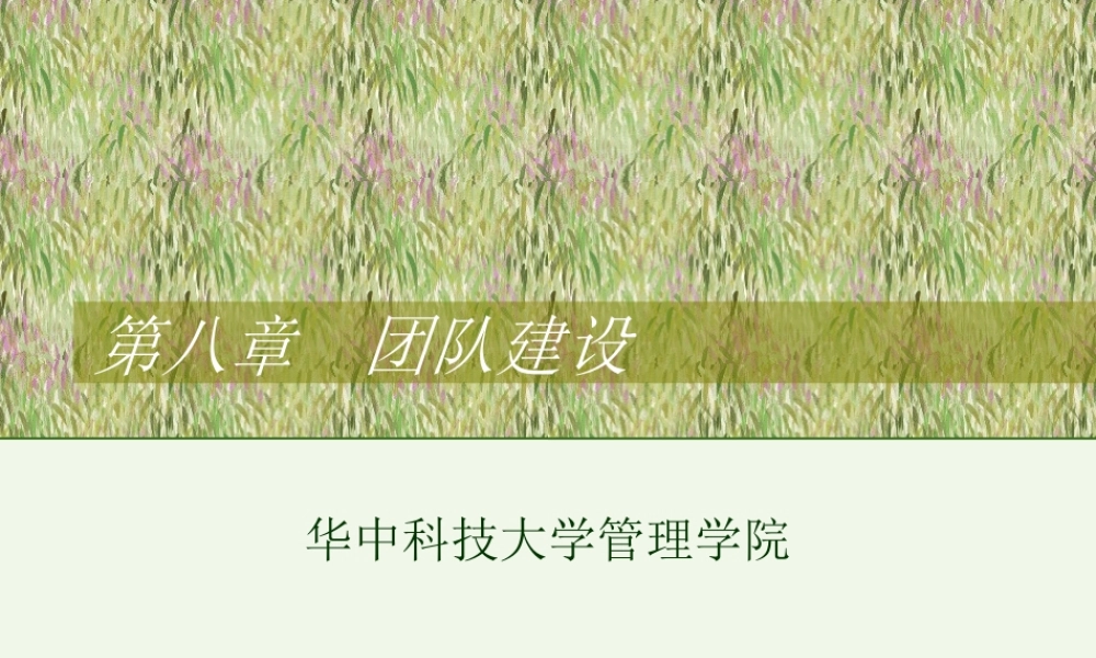 如何打造高效的团队建设