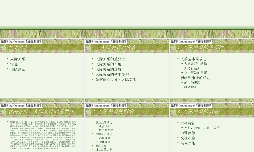 如何打造高效的团队建设