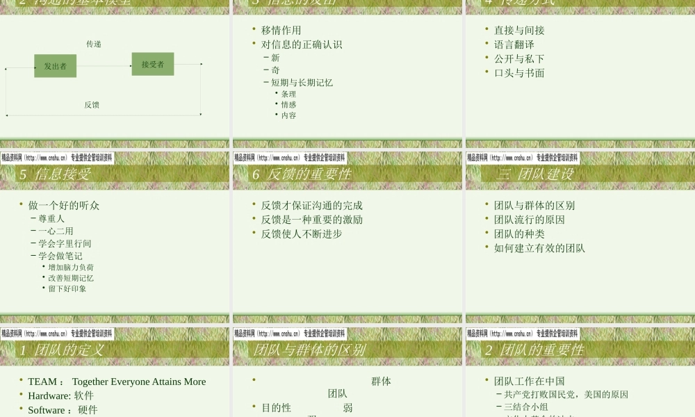 如何打造高效的团队建设