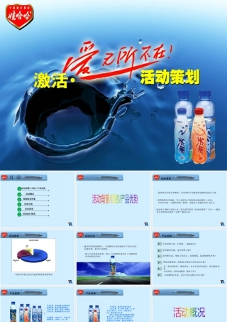 娃哈哈“激活。爱无所不在”策划案2