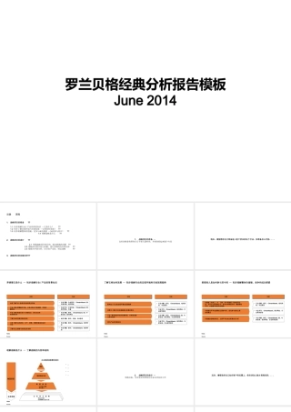 某公司经典分析报告模板