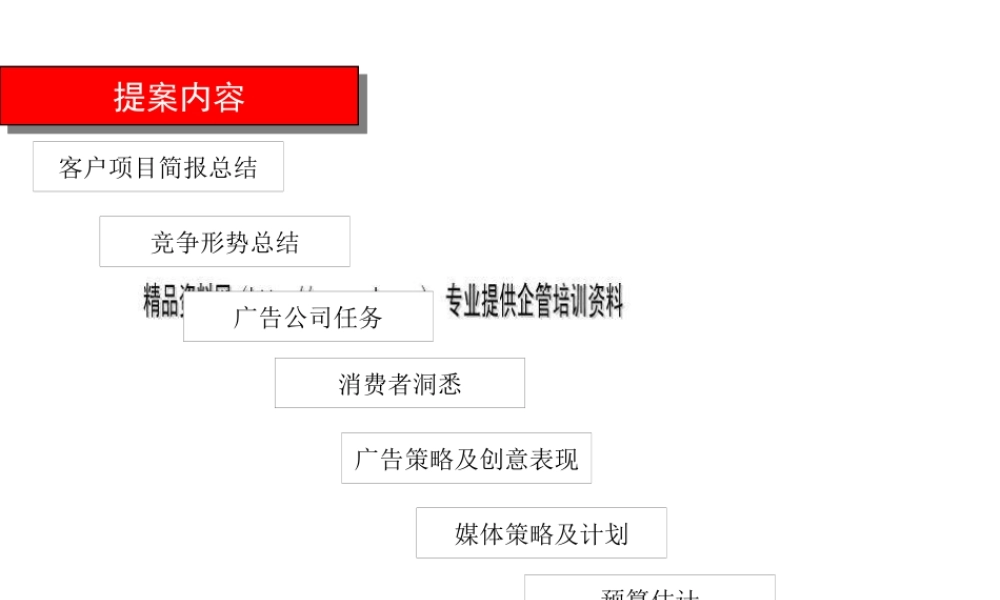 某公司经典商业计划
