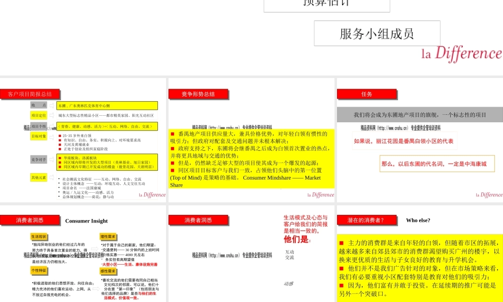 某公司经典商业计划