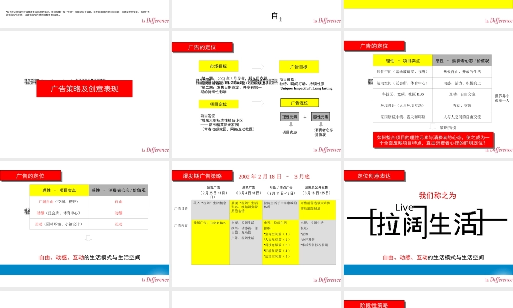 某公司经典商业计划