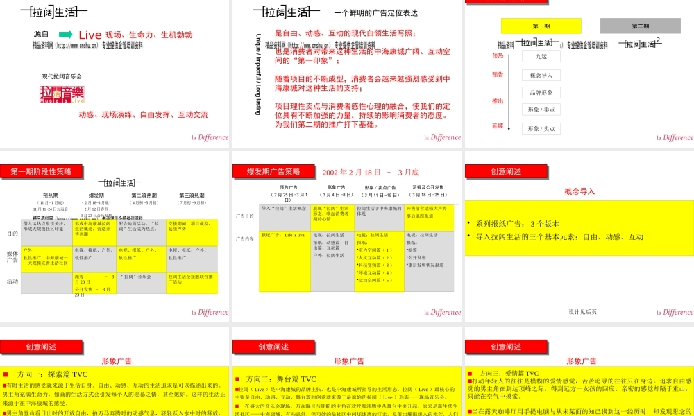 某公司经典商业计划