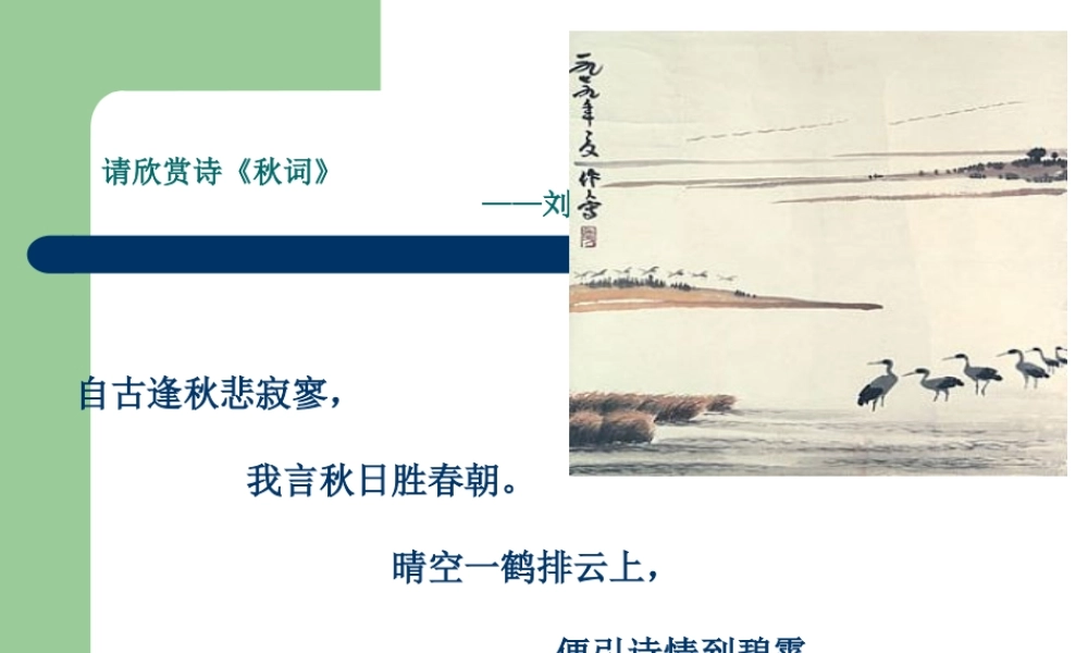 娃哈哈产品创新机会与选择
