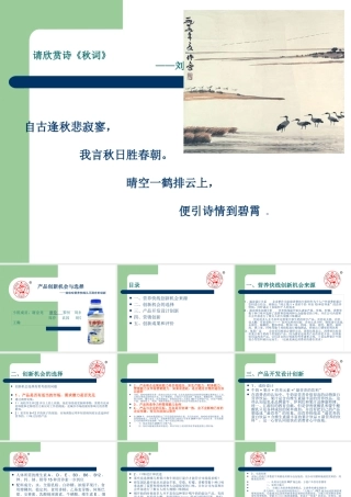 娃哈哈产品创新机会与选择
