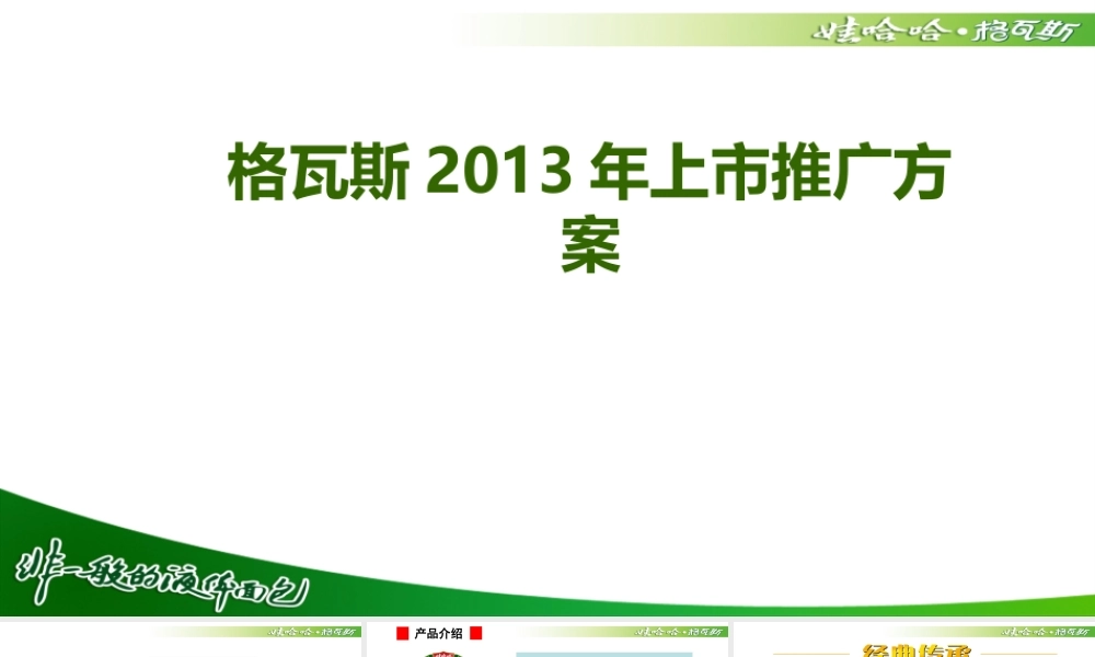 娃哈哈格瓦斯上市推广方案(XXXX1)
