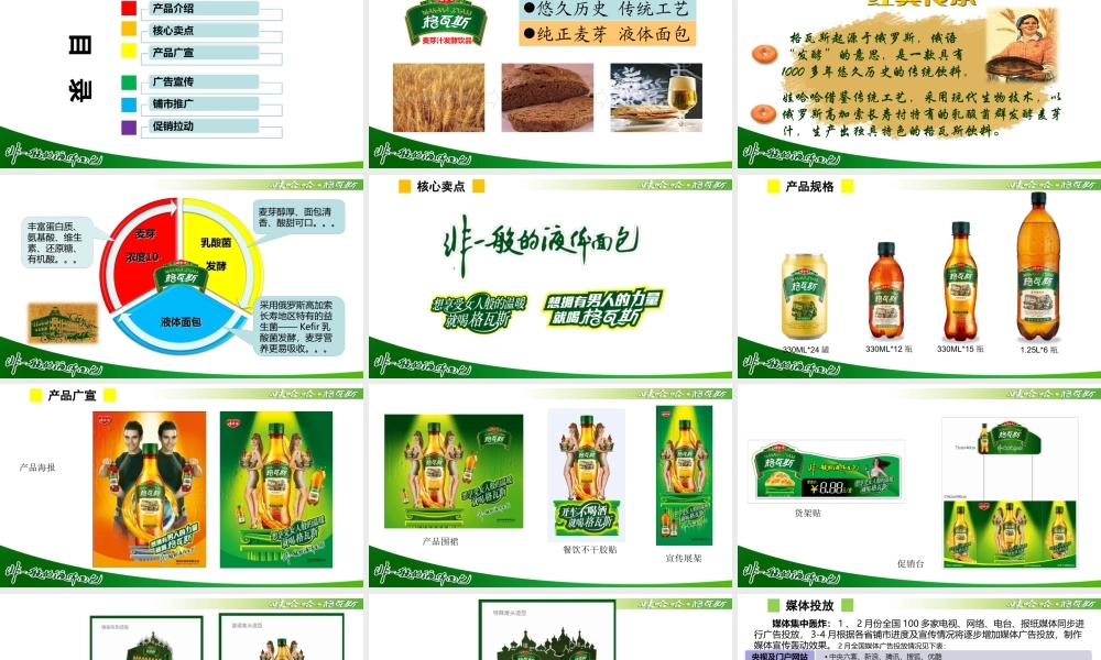 娃哈哈格瓦斯上市推广方案(XXXX1)