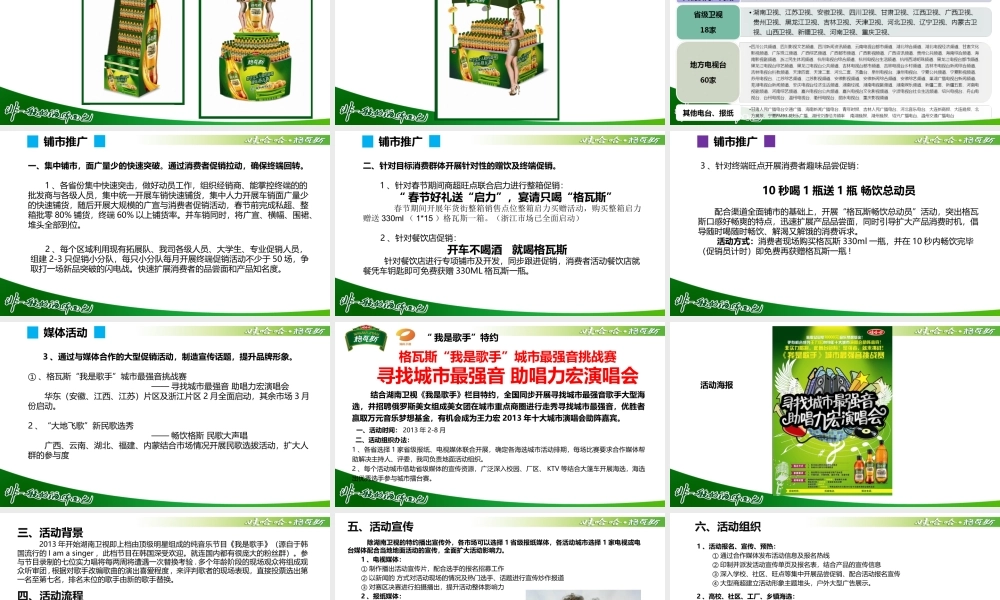 娃哈哈格瓦斯上市推广方案(XXXX1)