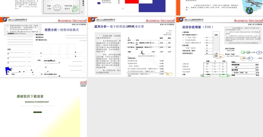 某公司经理人的飞行模拟舱培养