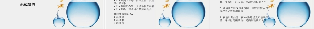 娃哈哈激活策划