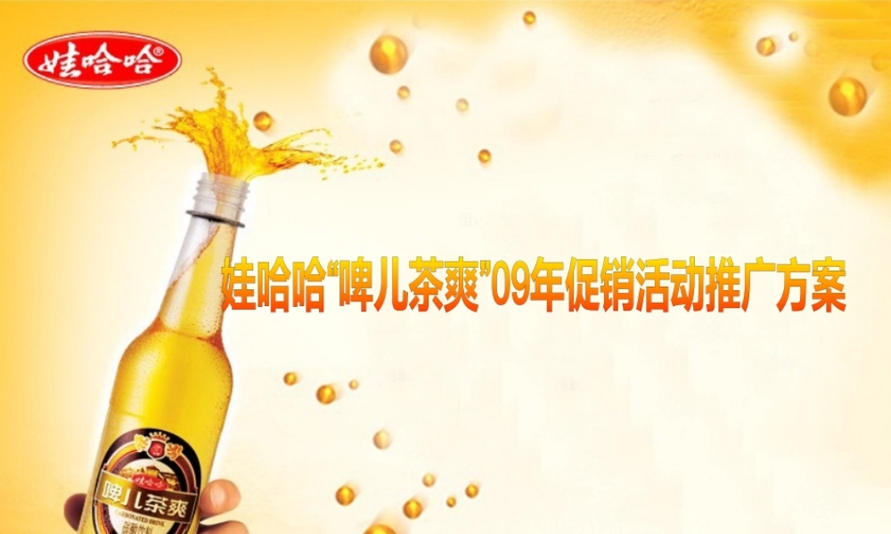 娃哈哈啤儿茶爽活动管理方案