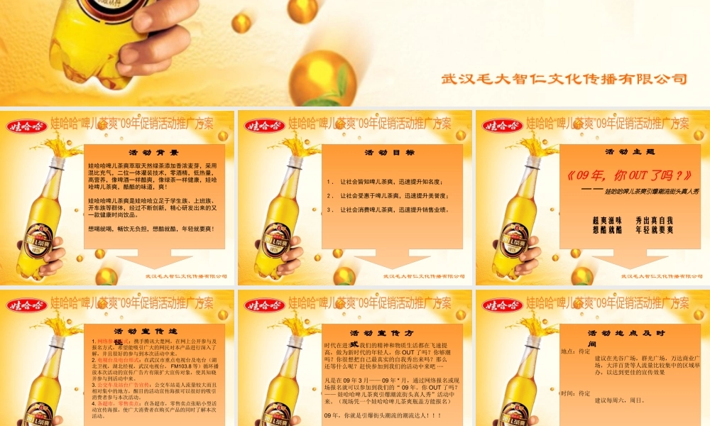 娃哈哈啤儿茶爽活动管理方案