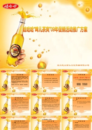 娃哈哈啤儿茶爽活动管理方案