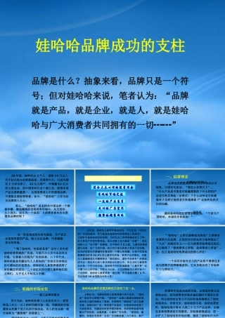 娃哈哈品牌成功的五大支柱