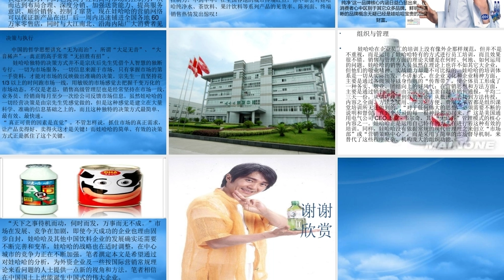 娃哈哈企业案例分析