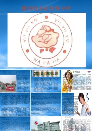 娃哈哈企业案例分析