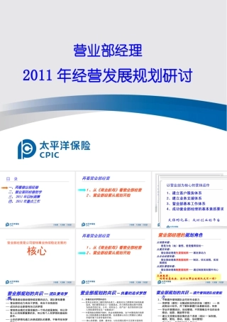 某公司经营发展规划研讨概述