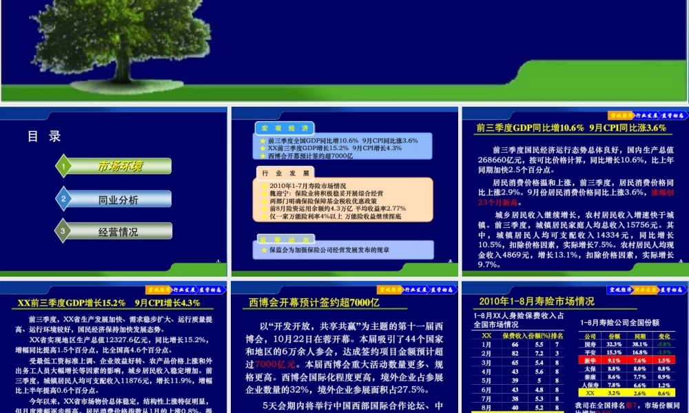 某公司经营分析报告（PPT 73页)