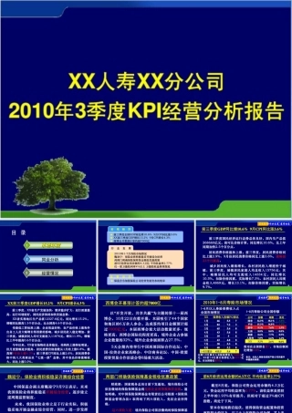 某公司经营分析报告（PPT 73页)