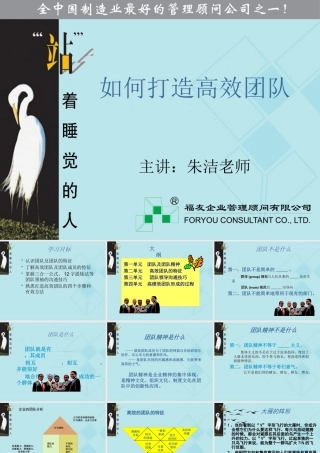 如何打造高效团队(PPT 56页)