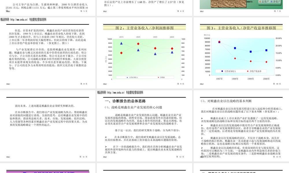 某公司经营战略问题诊断报告