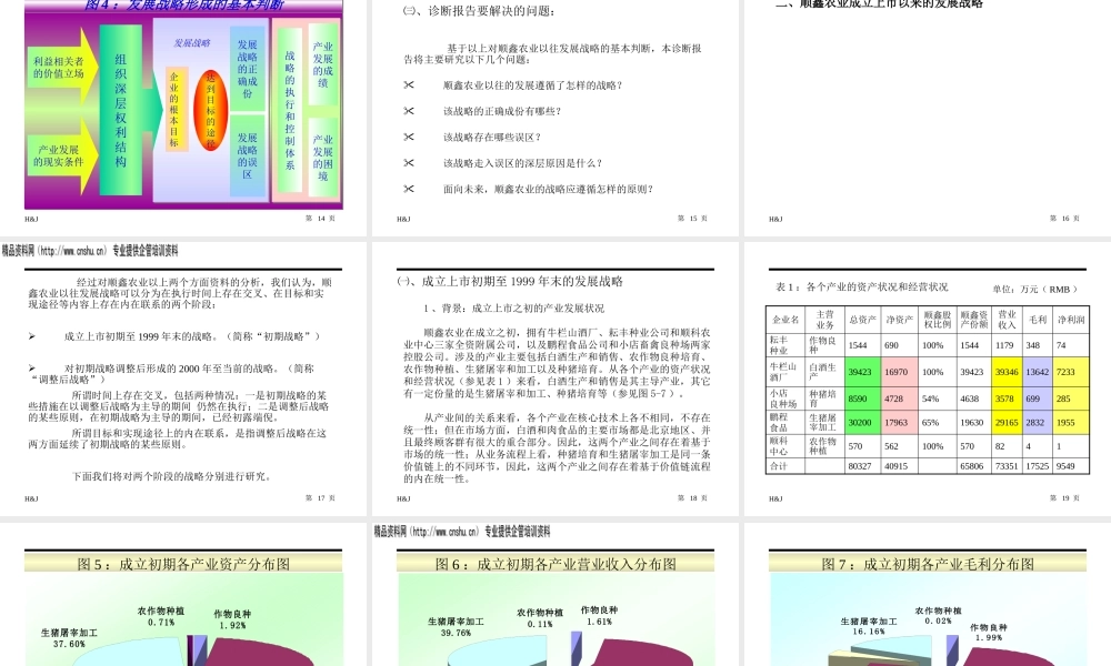 某公司经营战略问题诊断报告