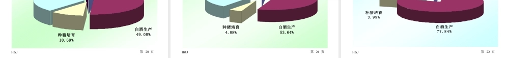 某公司经营战略问题诊断报告