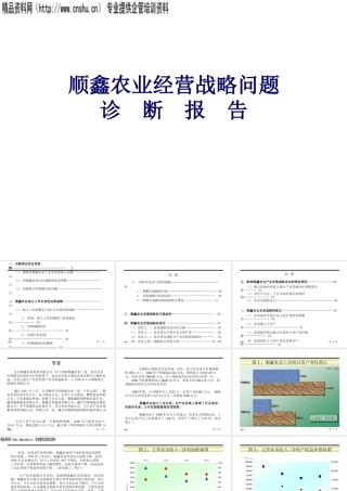 某公司经营战略问题诊断报告
