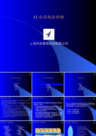 某公司经营综合诊断书