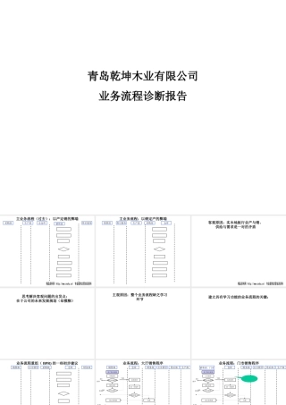 某公司精辟业务流程诊断报告