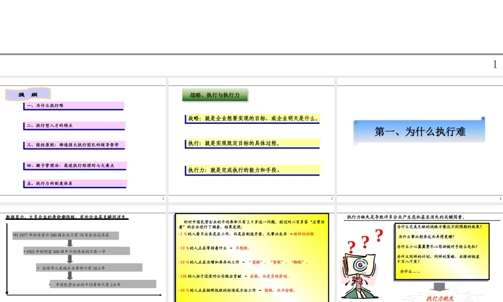 如何打造高效执行力(PPT 80页)