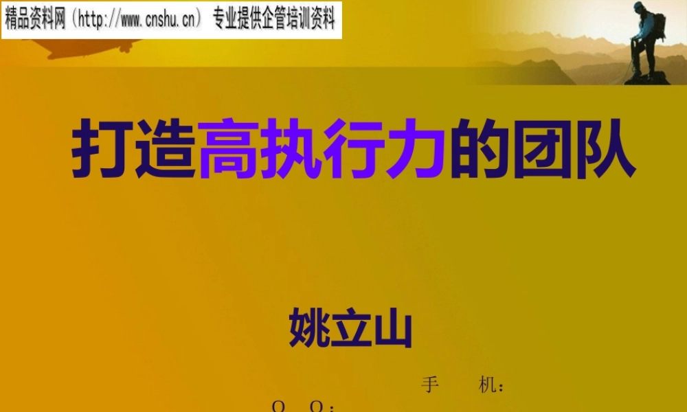 如何打造高效执行力的团队