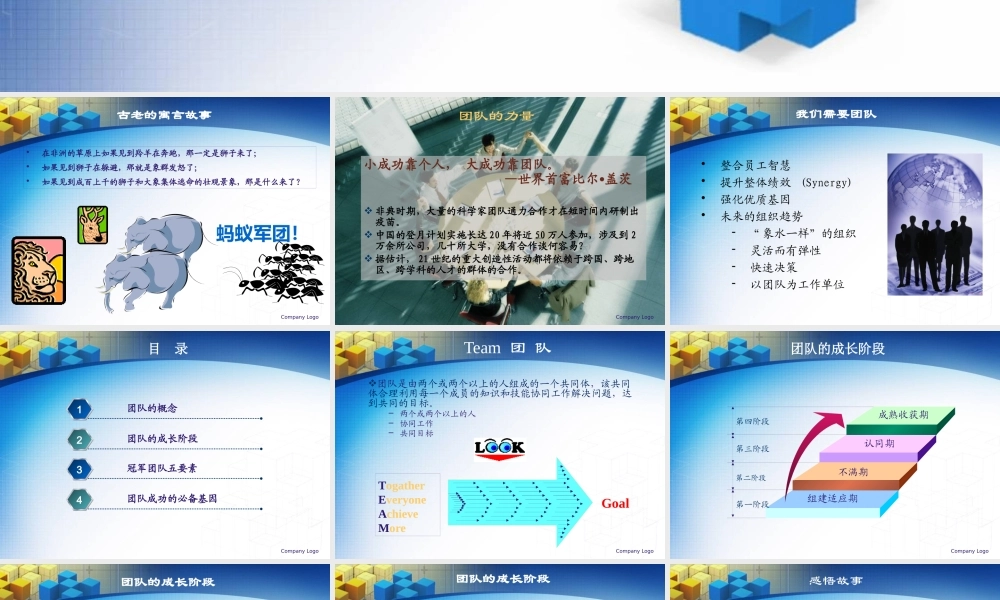 如何打造冠军团队